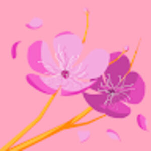 Meet your Posher, Lanette